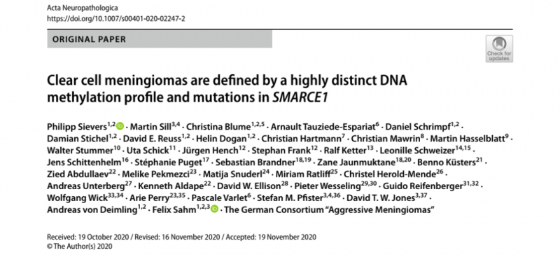 透明細胞腦膜瘤 DNA 甲基化研究