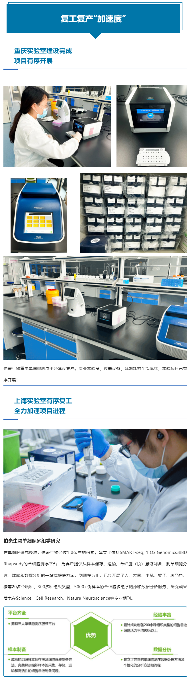 上海重慶齊頭并進(jìn)，全力以“復(fù)”跑出復(fù)工復(fù)產(chǎn)“加速度”