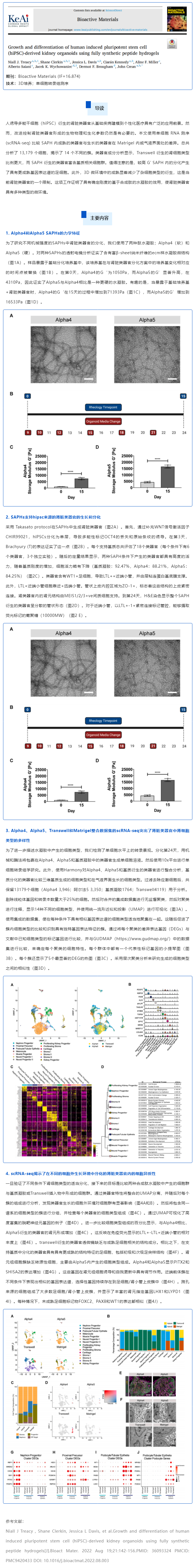 全合成肽水凝膠培養(yǎng)的人誘導(dǎo)多能干細(xì)胞（hiPSC）來(lái)源的腎類(lèi)器官的生長(zhǎng)和分化
