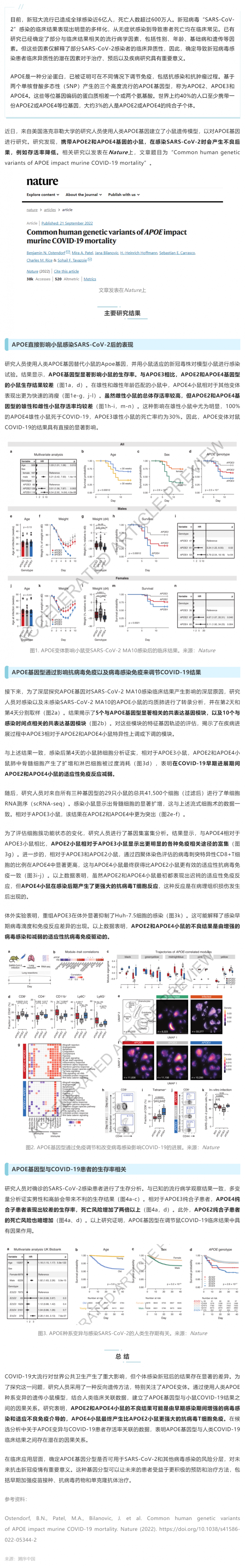 Nature _ 為什么有些人感染新冠后死亡風(fēng)險(xiǎn)高？研究揭示與 APOE 基因型有關(guān)