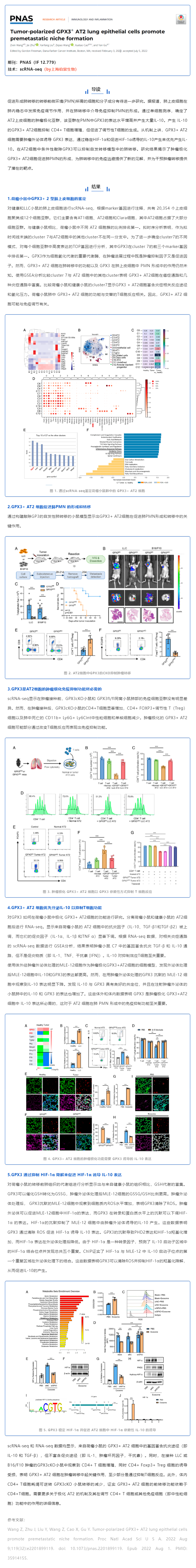 單細胞項目文章_腫瘤極化 GPX3+ AT2 肺上皮細胞促進轉移前生態位形成