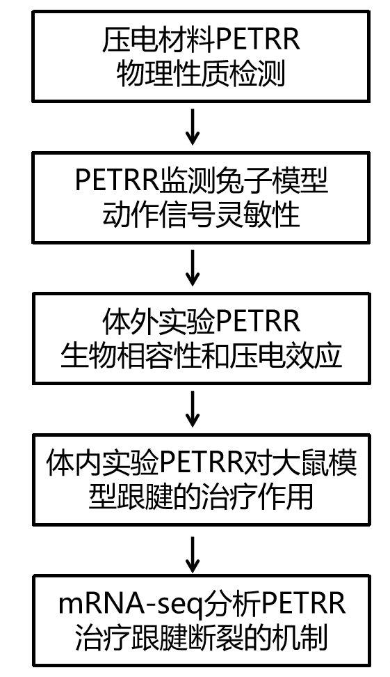伯豪生物研究設計 mRNA-seq 項目文章
