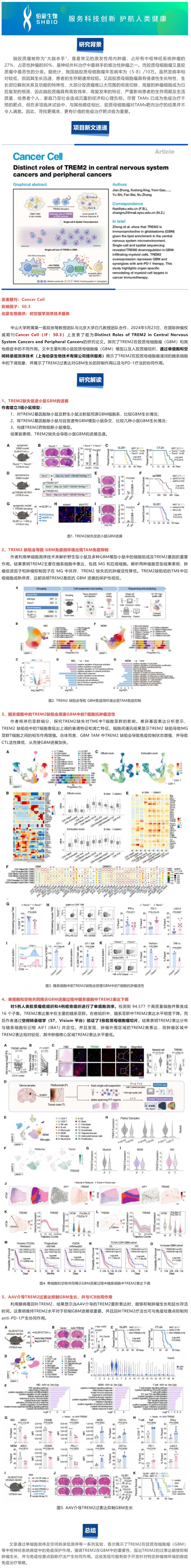 項目文章 |Cancer Cell-TREM2 在中樞神經系統癌癥和外周腫瘤中的獨特作用