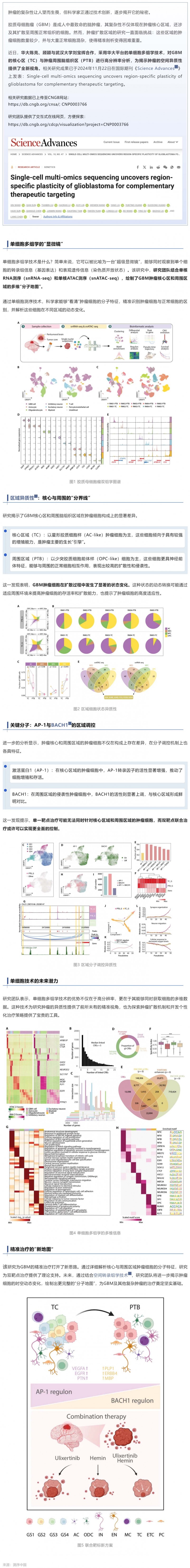 Sci Adv _ 陳亮_劉寶輝_顧穎利用單細胞多組學探秘膠質瘤的空間異質性
