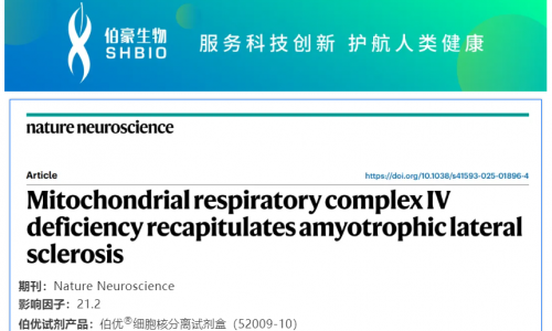 細胞核分離試劑盒應用文章 | 線粒體呼吸鏈復合體 IV 缺陷重現肌萎縮側索硬化癥表型
