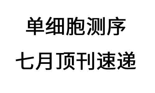 2025 頂刊文獻速遞 | 單細胞轉錄組系列（7 月）